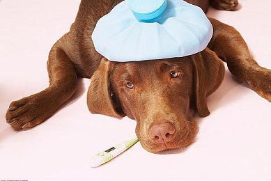 《碧蓝幻想：Relink》1.3.0更新档发布 新角色加入